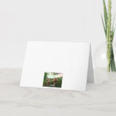 Field Mushrooms Happy Birthday Karte (Rückseite)