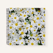 Field of Daisies Photo Notizblock (Vorderseite)