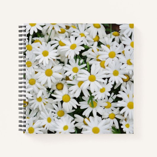 Field of Daisies Photo Notizblock (Vorderseite)