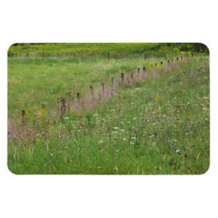 FIeld of Wildblumen Magnet