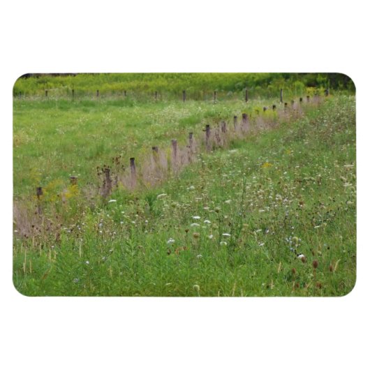 FIeld of Wildblumen Magnet (Horizontal)