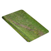 FIeld of Wildblumen Magnet (Rechte Seite)