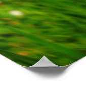 Field Scabary Poster (Ecke)