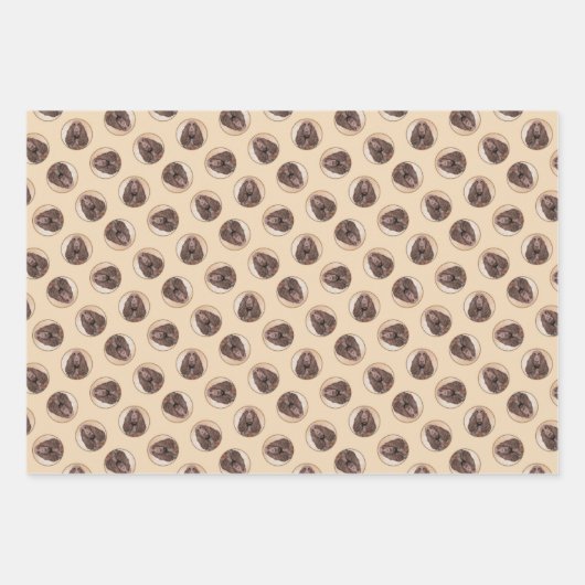 Field Spanel Malerei Roan Niedliche Original Dog A Geschenkpapier Set (Vorderseite)