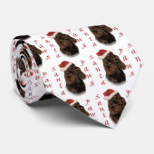Field Spanel Santa Paws Krawatte (Gerollt)