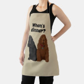 Field Spaniel, Adorable Hunde Wann essen?  Schürze (InSitu)