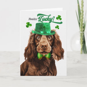 Field Spaniel Hund fühlt sich am St. Patrick's Day Feiertagskarte