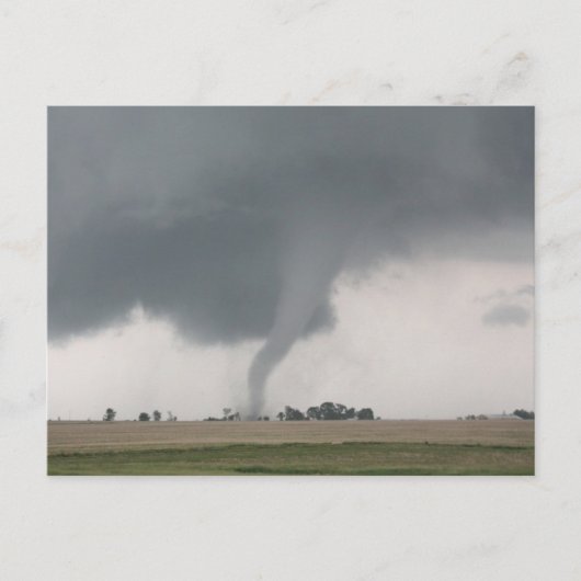 Field Tornado Postkarte (Vorderseite)