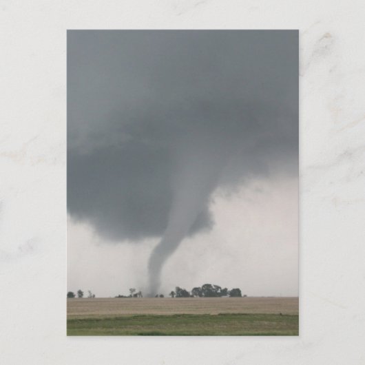 Field Tornado Postkarte (Vorderseite)