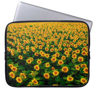 Field with bright yellow sunflowers in sunny day. laptopschutzhülle