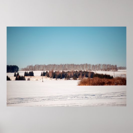 Fields and forests of central Russia. architecture Poster (Vorne)