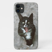 Fierce Angry Cat Phone Case - Bold und Edgy Design (Rückseite)