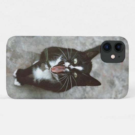 Fierce Angry Cat Phone Case - Bold und Edgy Design (Rückseite (Horizontal))