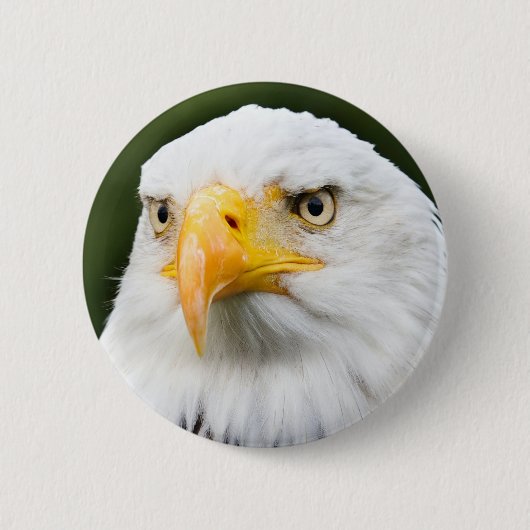 Fierce Bald Eagle Head Patriotic Button (Vorderseite)