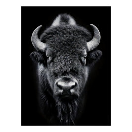 Fierce Black & White Bison Fine Art Photography | Poster