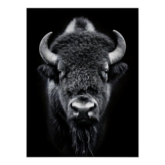 Fierce Black & White Bison Fine Art Photography | Poster (Vorderseite)