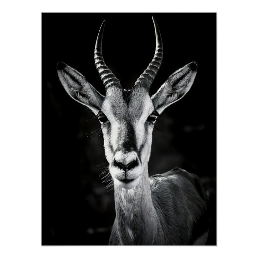 Fierce Gazelle Portrait - High Contrast Black & Wh Poster (Vorderseite)