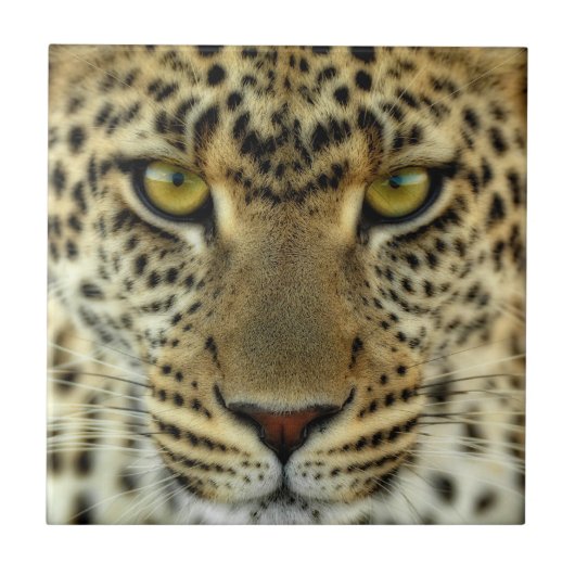 Fierce Leopard Fliese (Vorderseite)