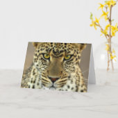 Fierce Leopard Karte (Gelbe Blume)