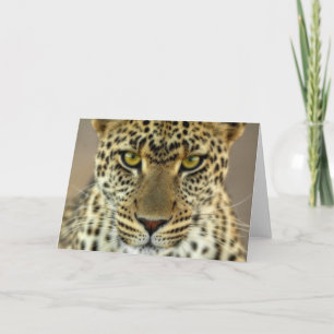 Fierce Leopard Karte