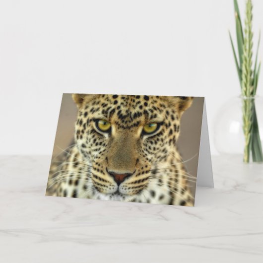 Fierce Leopard Karte (Vorderseite)