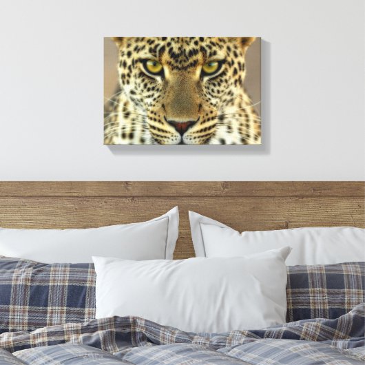 Fierce Leopard Leinwanddruck (Insitu (Schlafzimmer))