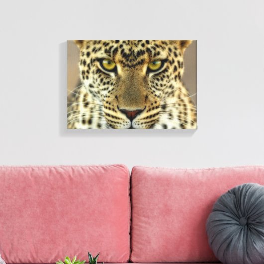 Fierce Leopard Leinwanddruck (Insitu (Wohnzimmer))