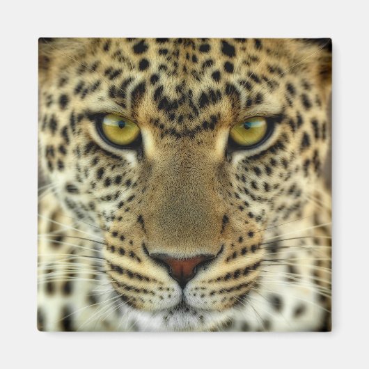 Fierce Leopard Magnet (Vorne)
