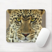 Fierce Leopard Mousepad (Mit Mouse)