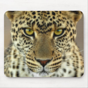 Fierce Leopard Mousepad