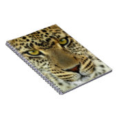 Fierce Leopard Notizblock (Rechte Seite)