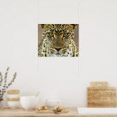 Fierce Leopard Poster (Küche)