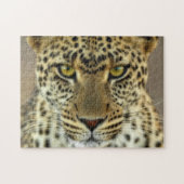 Fierce Leopard Puzzle (Horizontal)