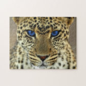 Fierce Leopard Puzzle (Horizontal)