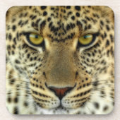 Fierce Leopard Untersetzer (Vorderseite)