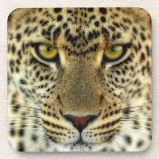 Fierce Leopard Untersetzer (Vorderseite)