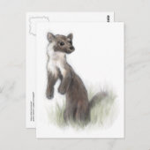 Fierce Little Pine Marten Postkarte (Vorne/Hinten)