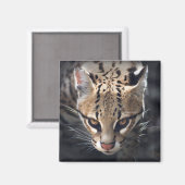 Fierce Magnet (Vorderseite/Rückseite)
