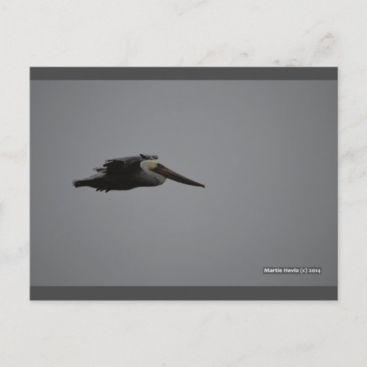 Fierce Pelican III | Blue Beach Song™ Postkarte (Vorderseite)