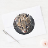 Fierce Sticker (Umschlag)