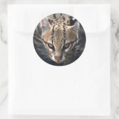 Fierce Sticker (Tasche)