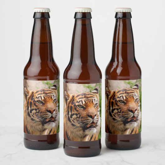Fierce tiger bierflaschenetikett (Flaschen)