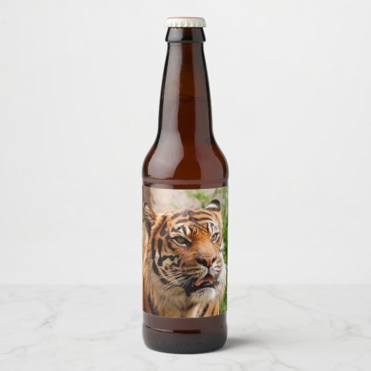 Fierce tiger bierflaschenetikett (Vorderseite)