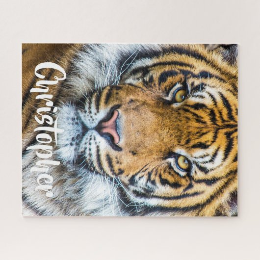 Fierce Tiger Face Personalized Name Puzzle (Horizontal)