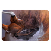 Fiereza Premium Flexi Magnet (Horizontal)