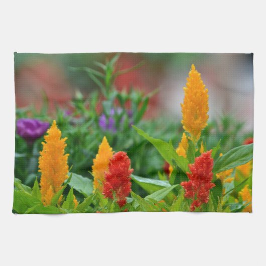 Fiery Blume Küchentücher (Horizontal)