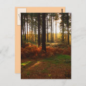 Fiery Bracken Postkarte (Vorne/Hinten)