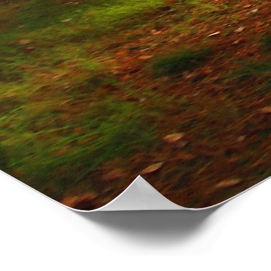 Fiery Bracken Print Poster (Ecke)