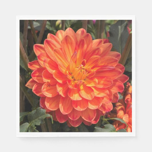 Fiery Dahlia Serviette (Vorderseite)