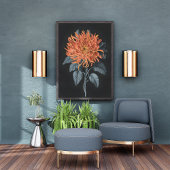 Fiery Elegance: Orange Chrysanthemum Fotodruck